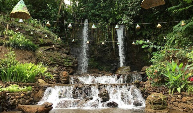 Dibalik Belantara Hutan Pinus Banyuwangi Wisata Indah