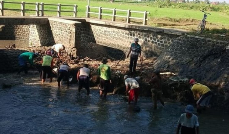 Banyuwangi Bersiap Melawan Musim Kering, Infrastruktur Irigasi Diperketat