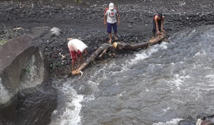 Saluran Irigasi Terhambat Pohon, Pengairan Banyuwangi Segera Bersihkan 
