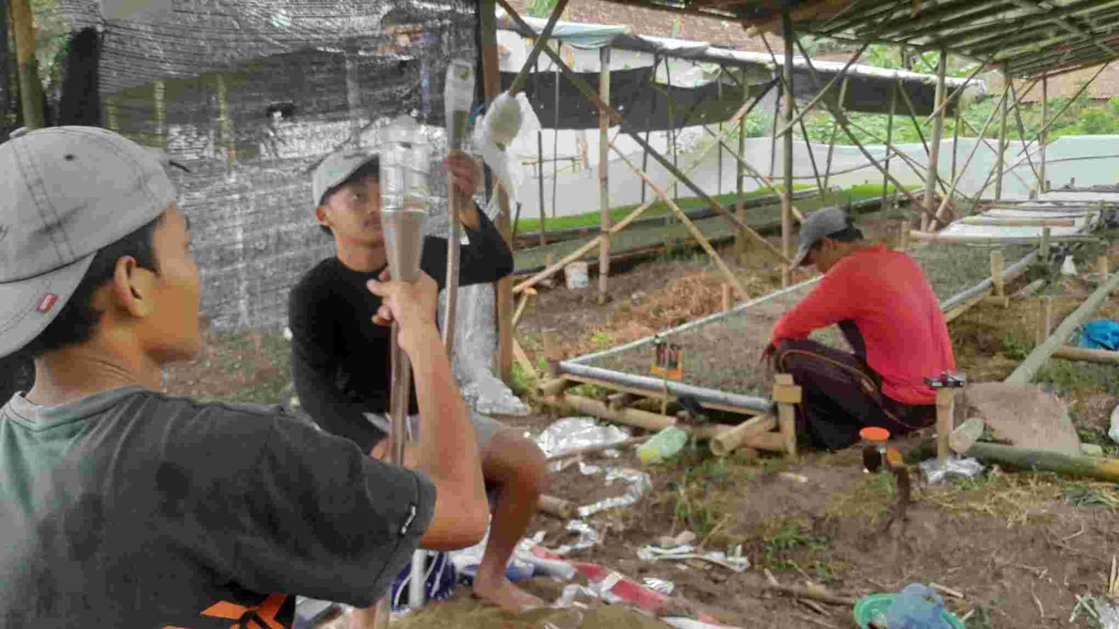 Kisah Inspiratif, Pemuda Desa di Jember, Manfaatkan Pekarangan untuk Agribisnis Makro