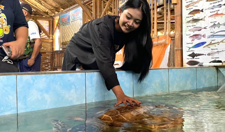 Pantai Cemara, Cocok jadi Tempat Berlibur saat Lebaran