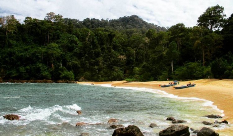 Teluk Hijau Banyuwangi, Surganya Bagi Pecinta Snorkeling