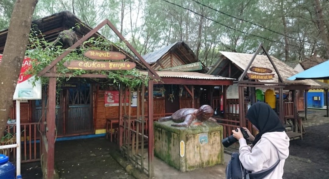 Liburan Nataru di Pantai Cemara Banyuwangi Sambil Belajar Pelestarian Penyu